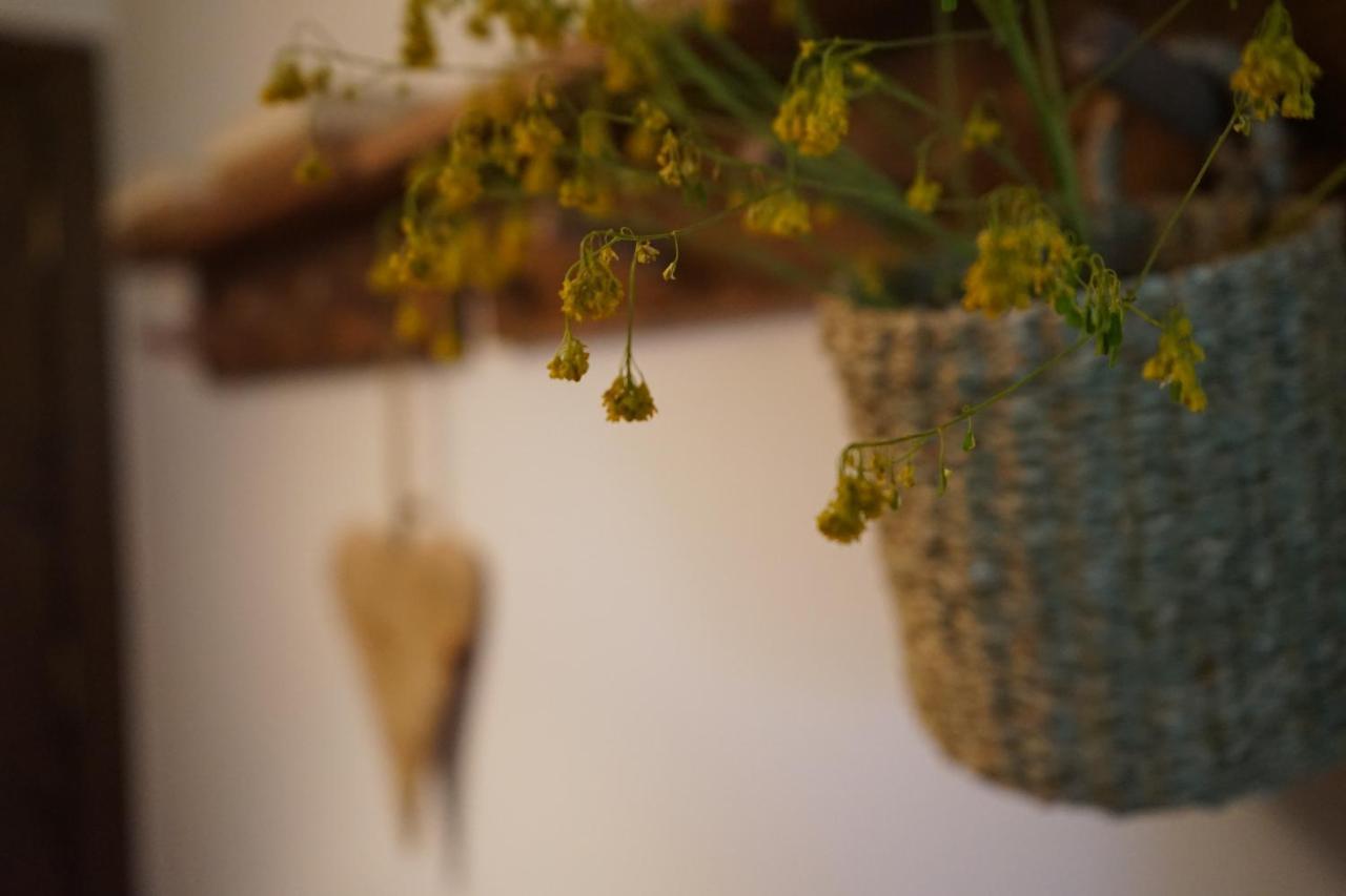 Apartamento Con Jardin En La Cerdanya Err Exterior foto